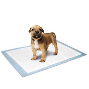 PUPPY TRAININGSMAT M 10ST 60x40CM