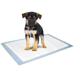 PUPPY TRAININGSMAT M 20ST 60x40CM