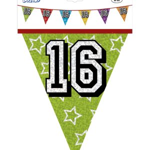 vlaggenlijn 16 jaar holografische