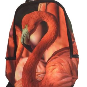 Kinderrugtas Dieren Flamingo met naam