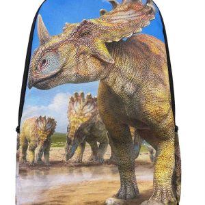 Kinderrugtas Dieren Styracosaurus dino met naam