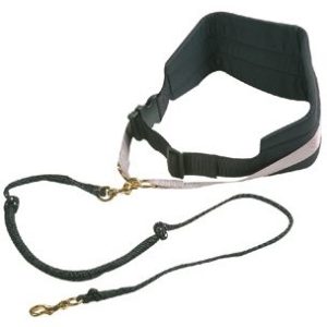 CANICROSS Hands Free lijn