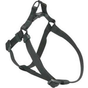 HONDENTUIG EASY ZWART 30/45CM 15MM