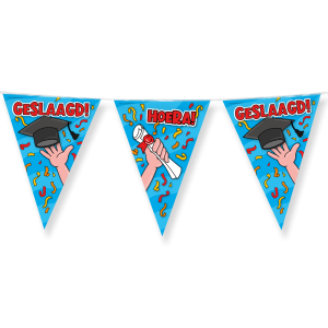 Party Flags Geslaagd school cartoon