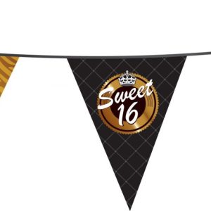 VLAGGENLIJN PE SWEET 16 10 Meter