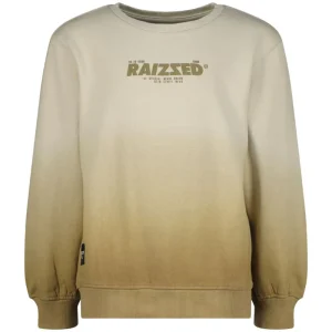 Beige sweater Male