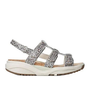 Xsensible Sandalen 30321.5.625 H Leopard