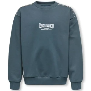 Blauwe frontprint oversized sweater Jet