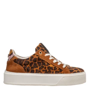 floris van bommel Veterschoenen SFW-10106-23-01 Cognac