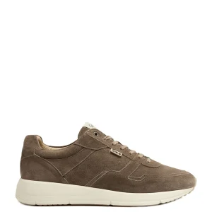 Greve Veterschoenen 7280.05 Taupe