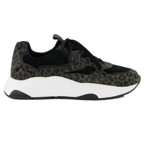 Groen geprinte sneaker Capri