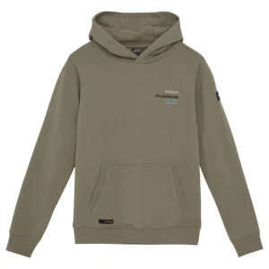 Groengrijze hoodie Backprint