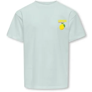 Lichtblauw loose fit t-shirt Carina Life