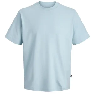 Lichtblauw relaxed fit t-shirt Blaowen