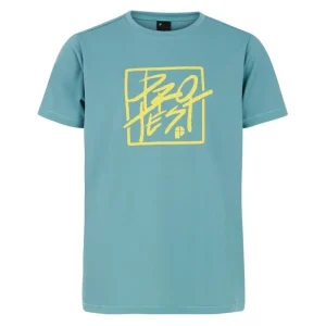 Lichtgroen t-shirt Rolf