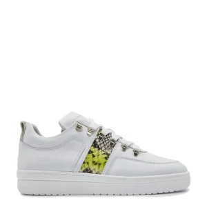 Nubikk Veterschoenen 21027309 Wit