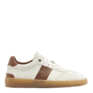 Greve Veterschoenen 2223.06 Beige