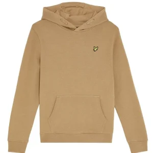 Tigers Eye pullover hoodie MLB2001V