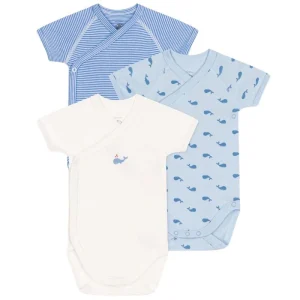 Variant 1 3 BODIES NAISS MC