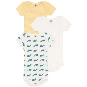 Variant 1 3 BODIES US MC