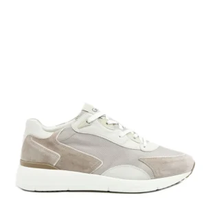 Greve Veterschoenen 3285.04 Beige